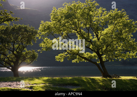 Buttermere, Cumbria. England, Stockfoto