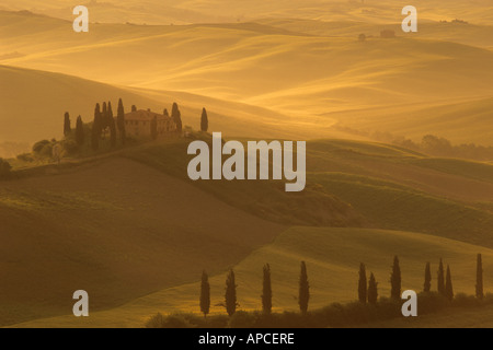 Belvedere-Dämmerung, in der Nähe von San Quirico D'Orcia, Val D'Orcia, südlich von Siena, Toskana, Italien Stockfoto
