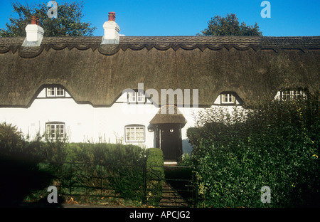 Reetdachhaus am Schwan grün, Lyndhurst, New Forest Nationalpark, Hampshire, England, UK Stockfoto