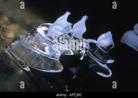 Eiszapfen in Nahaufnahme Stockfoto