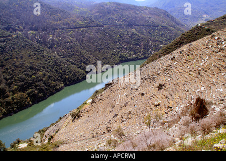 Terrassierung für Reben, Ribeira Sacra, Galicien, Spanien Stockfoto