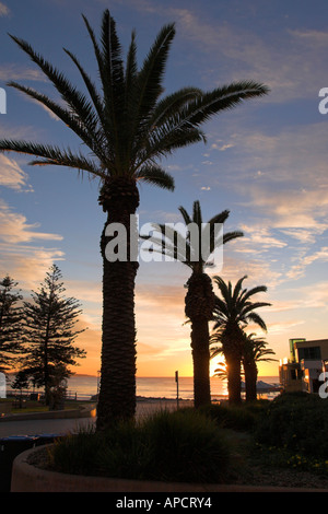 Cronulla Sonnenaufgang Sydney NSW Australia Stockfoto