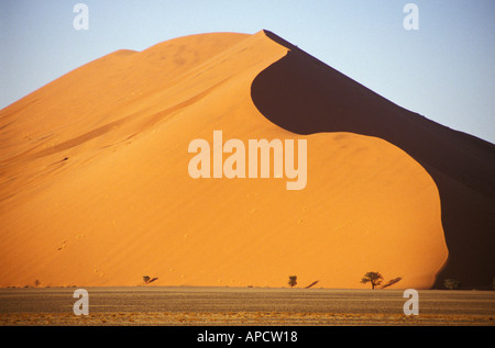 Düne 45 im Namib Naukluft Park Namibwüste Sossusvlei Namibia Afrika Stockfoto