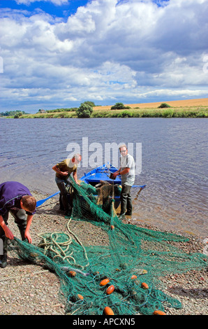 Angeln auf Lachs Fluss Tweed Paxton Scottish Borders Stockfoto