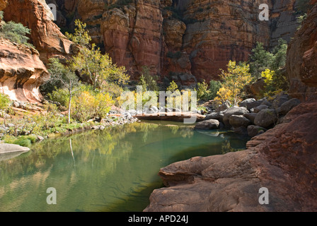 Supai Sandstein Pool im Holz s Canyon im nördlichen Arizona Stockfoto