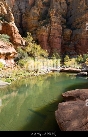 Supai Sandstein Pool im Holz s Canyon im nördlichen Arizona Stockfoto