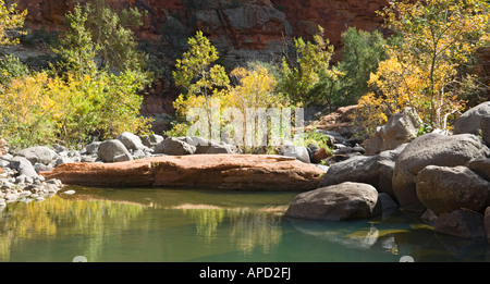 Supai Sandstein Pool im Holz s Canyon im nördlichen Arizona Stockfoto