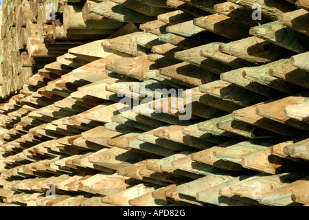 Tanalised Holz-Pfähle mit chromatiertem Kupferarsenat CCA Fechten Stockfoto