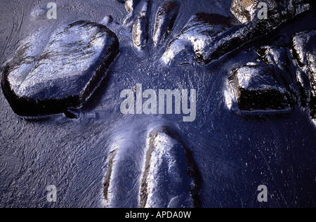 Ölpest, Prestige Ölkatastrophe, 2002, Camelle, Galicien, Spanien Stockfoto