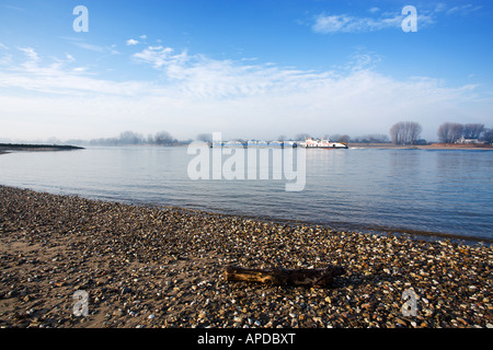 Rhein in der Nähe von Düsseldorf, Deutschland, Treibholz auf der Bank im Vordergrund, die Freightship im Hintergrund Stockfoto