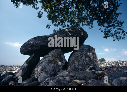 Dyffryn Ardudwy Grabkammer, Gwynedd, Wales Stockfoto