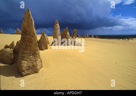 Pinnacles in der Wüste unter Gewitterwolken, Nambung National Park, Western Australia, Australien Stockfoto