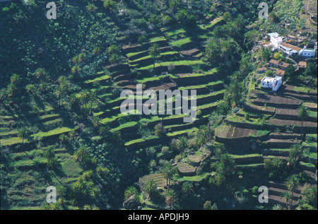 Terrassenfeldbau, Lo del Gato, La Gomera Kanarische Inseln Stockfoto