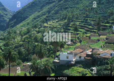 Lo del Gato, La Gomera Kanarische Inseln Stockfoto