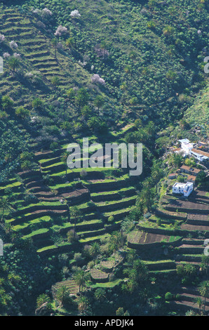 Terassenfeldbau, Lo del Gato, La Gomera Kanarische Inseln Stockfoto