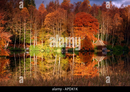 Herbstfarben in Faskally Wood reflektiert in Loch Dunmore Stockfoto