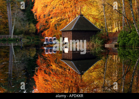 Herbstfarben in Faskally Wood reflektiert in Loch Dunmore Stockfoto