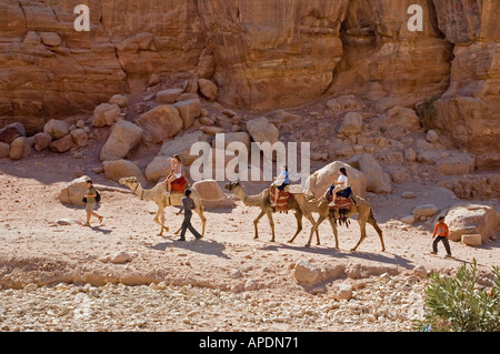 Kamele für Touristen Verkehr, Straße von Fassaden, Petra, Haschemitischen Königreich Jordanien Nahost. DSC 5111 Stockfoto