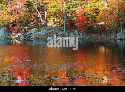 Herbst Laub spiegelt sich in einem New-Jersey-See Stockfoto