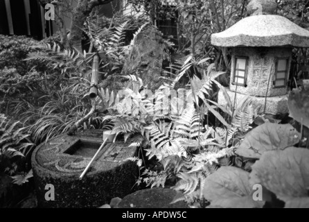 Üppiger Garten einer lokalen Ryokan Nara Präfektur Japan Le in Infrarot schwarz-weiß-Stil geheimnisvolle Wirkung Stockfoto