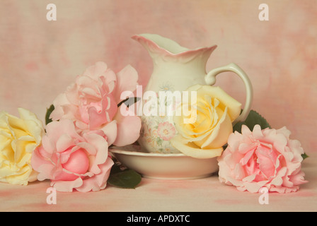 Gartenrosen mit Krug und Krug Stockfoto