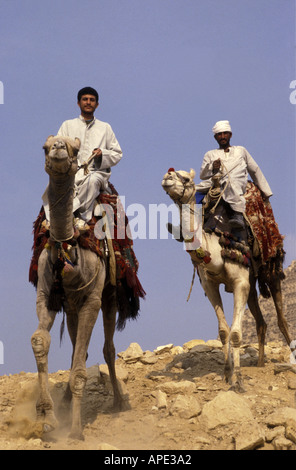 Zwei Camel Fahrer touting Geschäft von Touristen in der Nähe der Pyramide des Cheops Gizeh in der Nähe von Cairo-Ägypten-Nordafrika Stockfoto