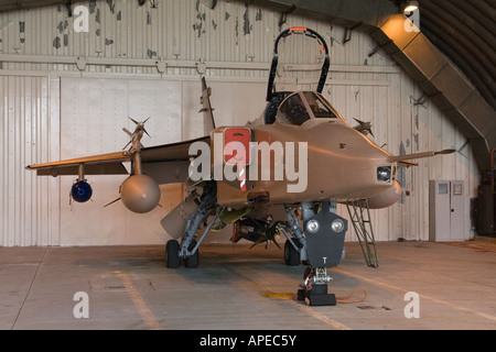 RAF-Jaguar in einer Festschrift Lackierung für die Auflösung der 6 Staffel und dem Ausscheiden des Typs von RAF Service Stockfoto