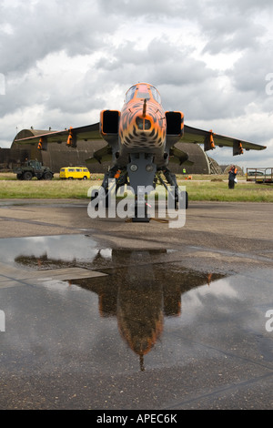 RAF-Jaguar in einer Festschrift Lackierung für die Auflösung der 6 Staffel und dem Ausscheiden des Typs von RAF Service Stockfoto