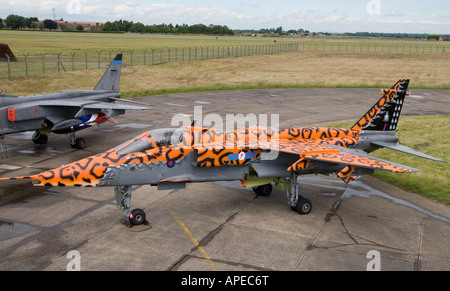 RAF-Jaguar in einer Festschrift Lackierung für die Auflösung der 6 Staffel und dem Ausscheiden des Typs von RAF Service Stockfoto