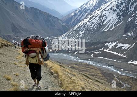 Porter auf dem Weg zum Tilicho-See. Annapurna Circuit Trek. Nepal Stockfoto