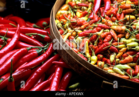 Chili Peppers, Denpasar, Bali, Indonesien Stockfoto