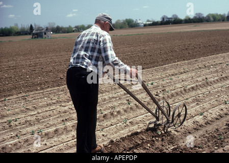 Landwirt mit alten Zeit Hand Pflug, Long Island, NY Stockfoto