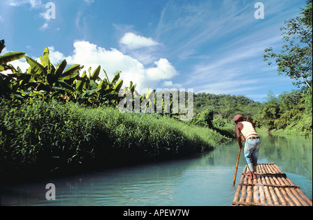 Mann auf Bambus-Floß mit Bambus Pol (in Jamaika) Fluss mit dichten Wäldern und den blauen Himmel im Hintergrund. Stockfoto