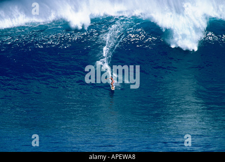 Big-Wave-Surfen mit Jet Ski, Maui, der weiße Hai Welle Stockfoto