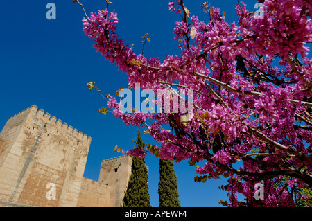 Spanien Andalusien Granada die Alcazaba Türme an der Alhambra-Palast Stockfoto