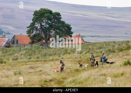 Hundeführer und Wildhüter zu Fuß über die Mauren Burg Grant während angetriebenen Moorschneehühner zu schießen, in der Nähe von Aviemore Schottland Stockfoto