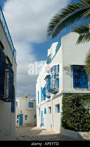Typische Straßenszene in das winzige Dorf Sidi Bou Said, nördlich von Tunis, Tunesien. Stockfoto