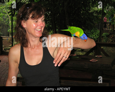 Frau und Regenbogen Lorikeet Trichoglossus Haematodus Frühstück mit Vögel Port Douglas North Queensland Australien Modell relea Stockfoto