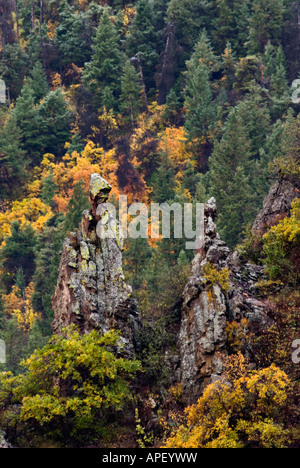 Felsformationen und Herbst Farbe in Black Canyon des Gunnison Montrose County Colorado Stockfoto