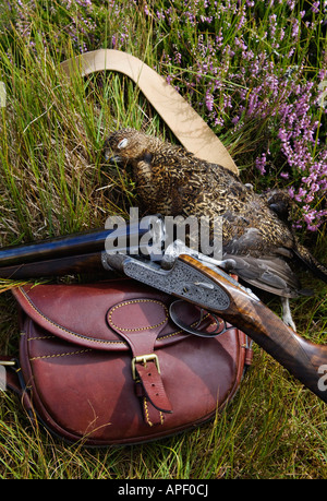 Holland und Holland beste Shotgun geerntet Moorschneehühner und Ledertasche Patrone sitzt in Heather Stockfoto