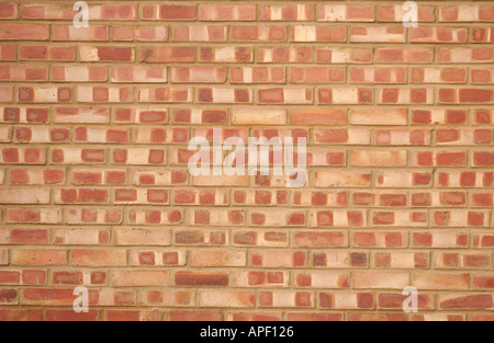 Neu gebaute Mauer Stockfoto