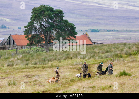 Hundeführer und Wildhüter zu Fuß über die Mauren Burg Grant während angetriebenen Moorschneehühner zu schießen, in der Nähe von Aviemore Schottland Stockfoto