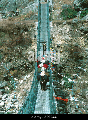 Yaks und Sherpa Träger tragen trekking Ausrüstung über Hängebrücke Everest Region Himalaya Nepal Stockfoto