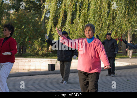 Peking, eine Frau in Ritan Park Tai Chi Übungen Stockfoto