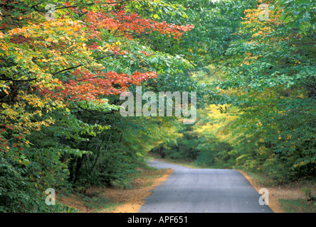 New England zurück Weg durch Tunnel von Herbstfarben White Mountain National Forest New Hampshire Stockfoto