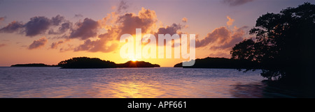 Sonnenuntergang über Mangroven-Inseln auf der Florida Bay Everglades Nationalpark Florida Stockfoto