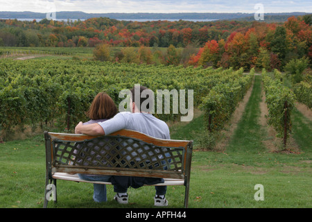 Michigan, MI, mich, Upper Midwest, Old Mission Peninsula, Traverse City, Chateau Grand Traverse Winery, Rat für Weinbau und Weinindustrie, Bank, Paar, Erwachsener, Anzeige Stockfoto