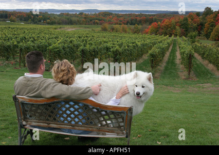 Michigan, MI, mich, Upper Midwest, Old Mission Peninsula, Traverse City, Chateau Grand Traverse Winery, Rat für Weinbau und Weinindustrie, Bank, Paar, Erwachsener, Anzeige Stockfoto