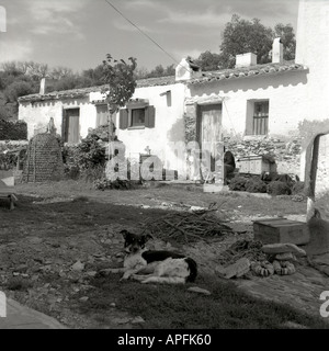 Salvador Dali arbeitet an einer Zeichnung Port Lligat 1959 Stockfoto