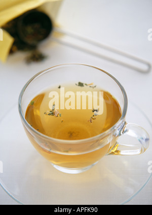 Tasse Kräutertee in einem Glas Stockfoto